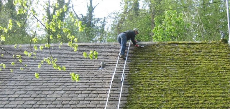 How To Remove Moss From Roof