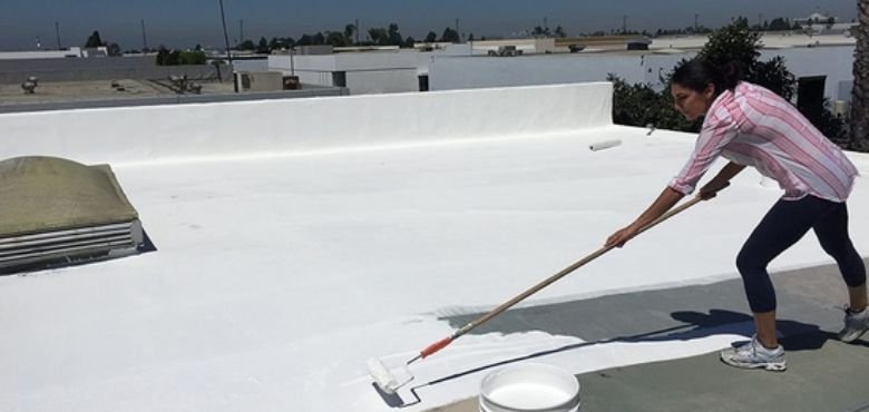 Best Warranty Roof Seal Coat For A Flat Roof